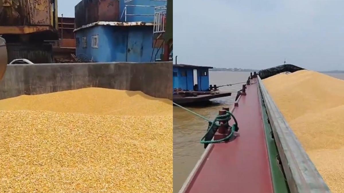千噸轉運玉米受潮，大陸4工人中毒窒息死亡。（圖／翻攝自微博《新浪熱點》）