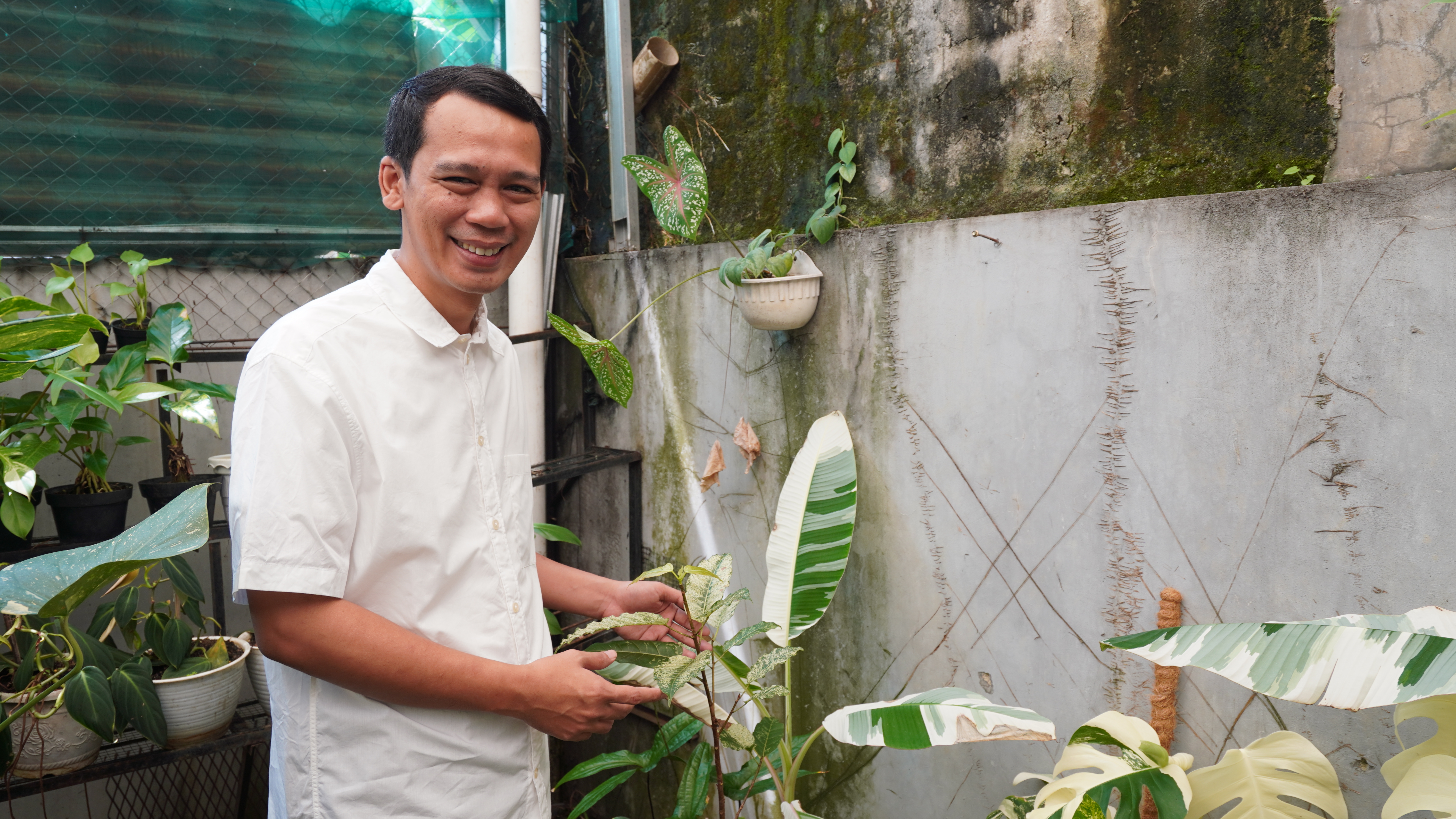 印尼植栽業者盼與台灣合作推低碳永續綠建築。（圖／中央社）