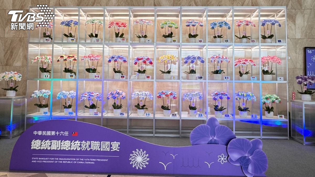 此次國宴舉辦在台南，內部設計最大亮點為29株噴上友好國的蘭花牆。（圖／TVBS）