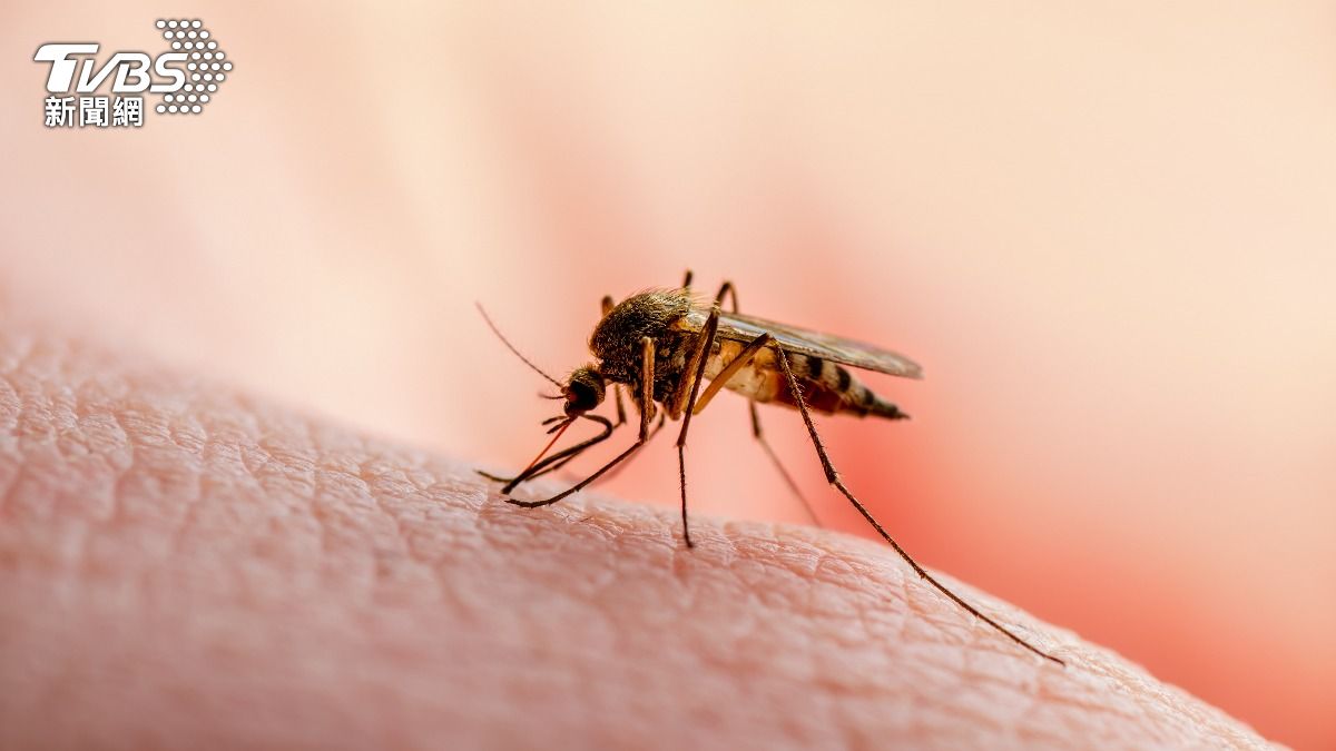 疾管署今（21）日公布國內新增1例境外移入瘧疾死亡病例。（示意圖／shutterstock達志影像）