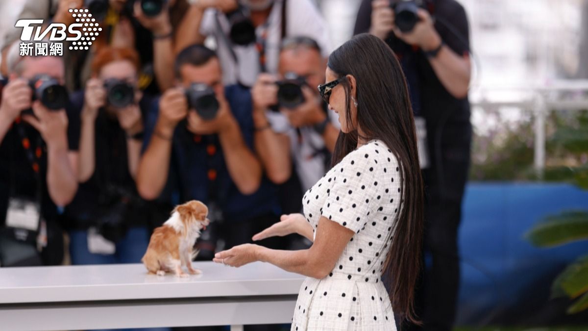 黛咪摩爾帶著愛犬出席坎城影展。（圖／達志影像美聯社）