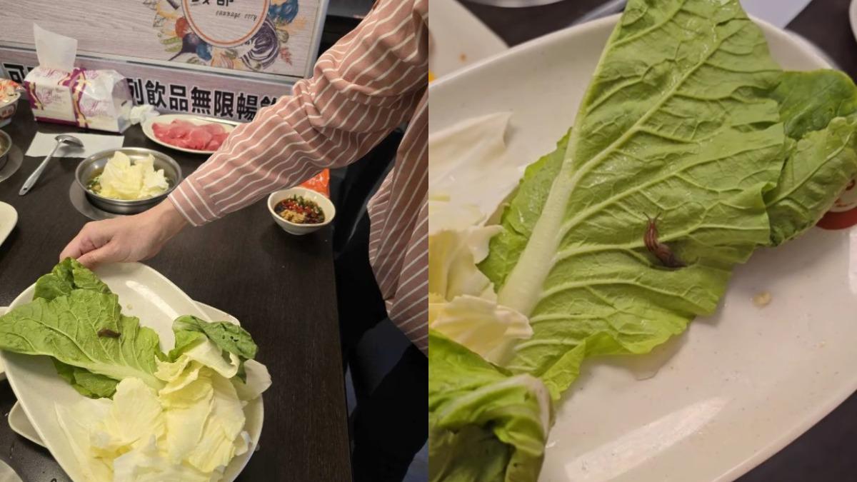 有民衆到「錢都」用餐時，看到蛞蝓在菜葉上爬。（圖／翻攝自Dcard）