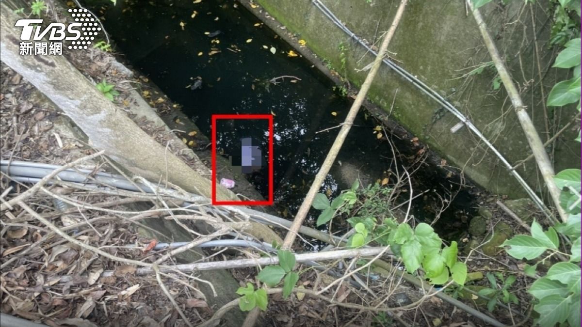 台南男疑「上廁所」摔5m溪溝溺斃。（圖／TVBS）