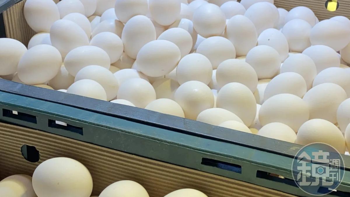農業部長陳駿季呼籲消費賣場適度降價，刺激需求同時穩定雞蛋產銷。（圖／鏡週刊）