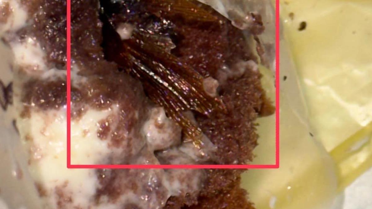 女網友PO文分享，指出剛享用巧克力蛋糕的第一口竟咬到大蟑螂屍體。（圖／翻攝自爆料公社）