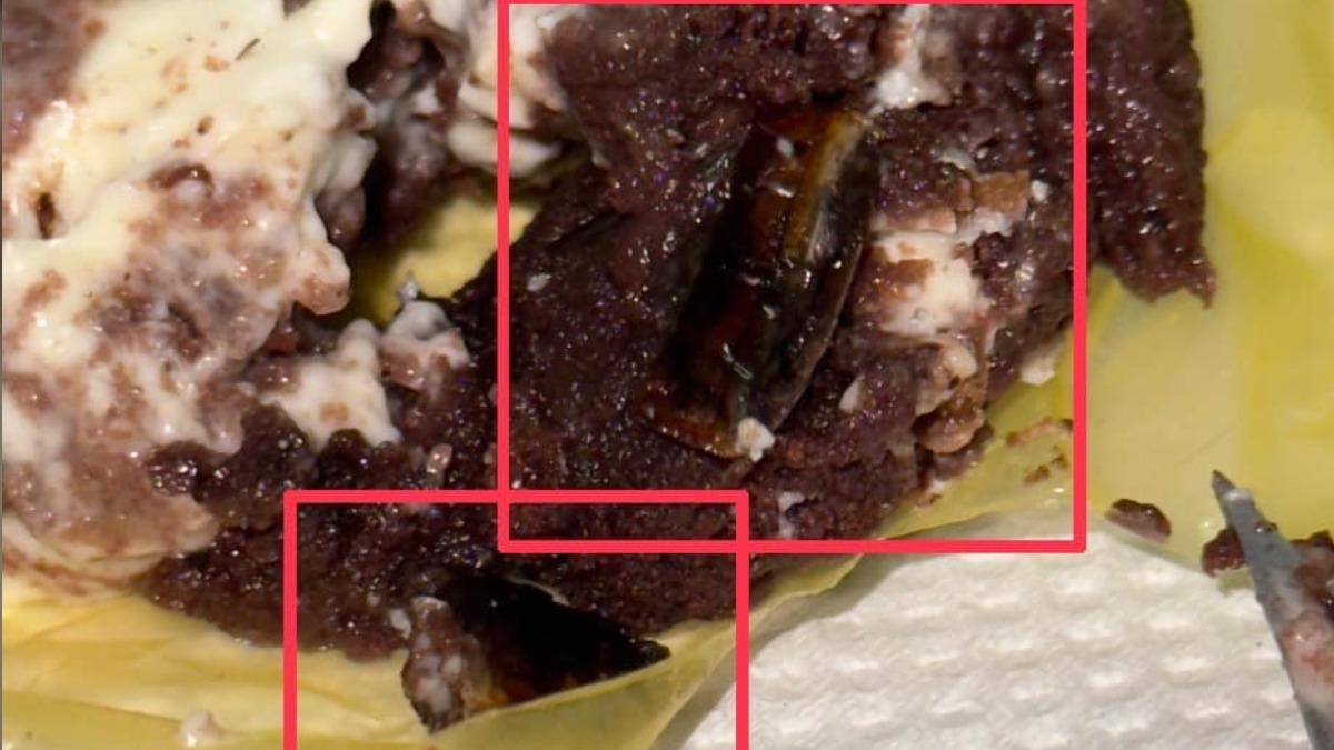 女網友不慎將蟑螂屍體吃下，崩潰直呼再也不吃了。（圖／翻攝自臉書）