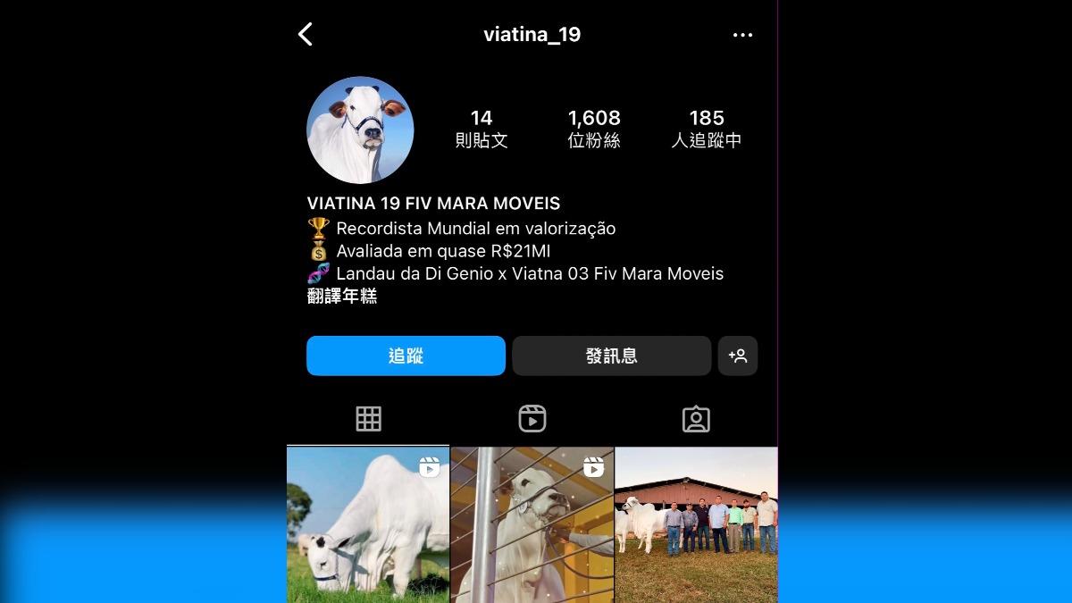 維亞蒂娜擁有自己的IG帳號（圖／翻攝自IG@viatina_19）