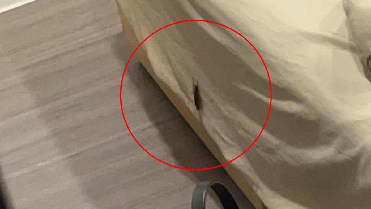 網友深夜在床邊發現一隻大蟑螂，急得上網找人幫忙。（圖／翻攝自信義區二三事臉書）