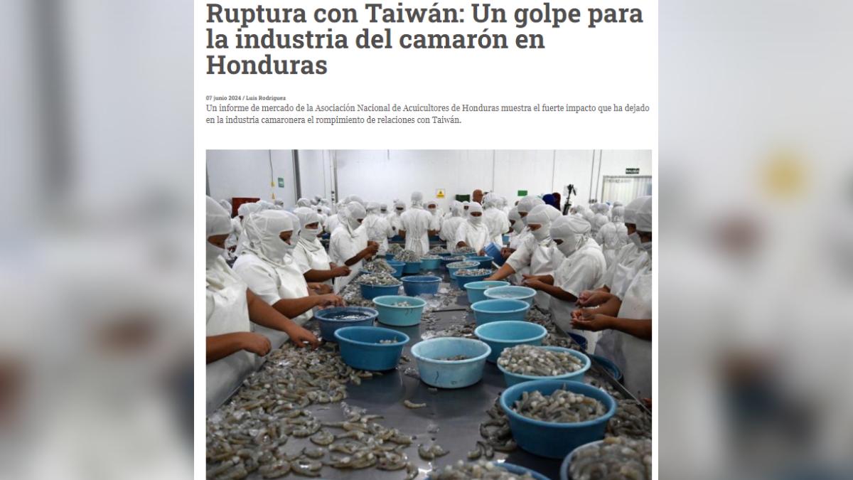 宏都拉斯2023年3月與台灣斷交，轉與中國大陸建交，重創養蝦業。（圖／翻攝自《La Prensa》）