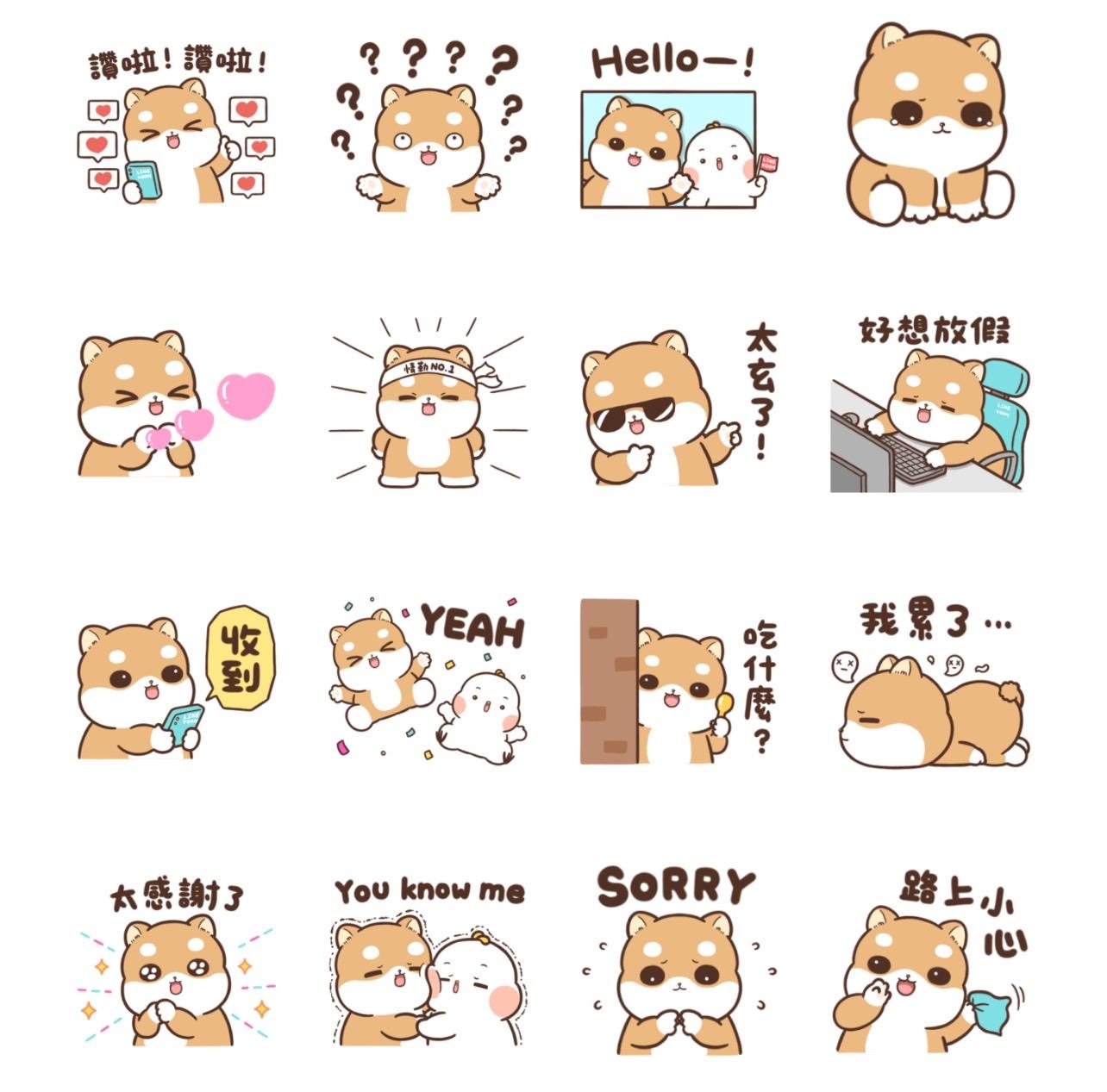 LINE VOOM × 柴犬皮皮。（圖／翻攝自LINE官網）