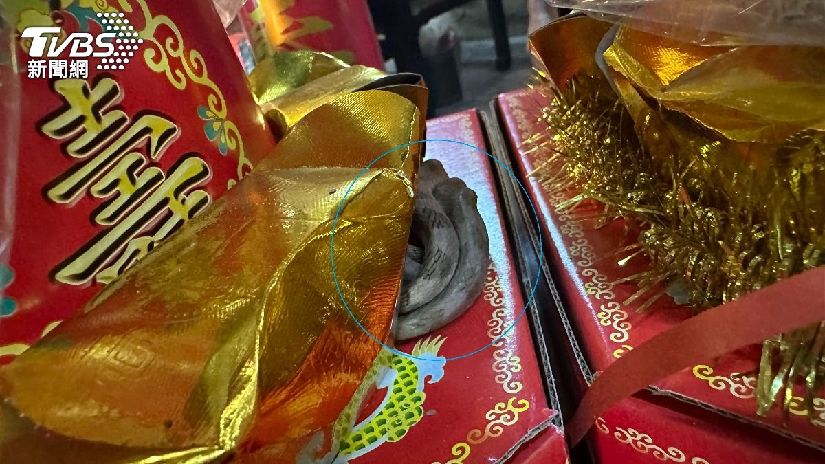 今年的靈蛇還沒出現。（圖／TVBS）