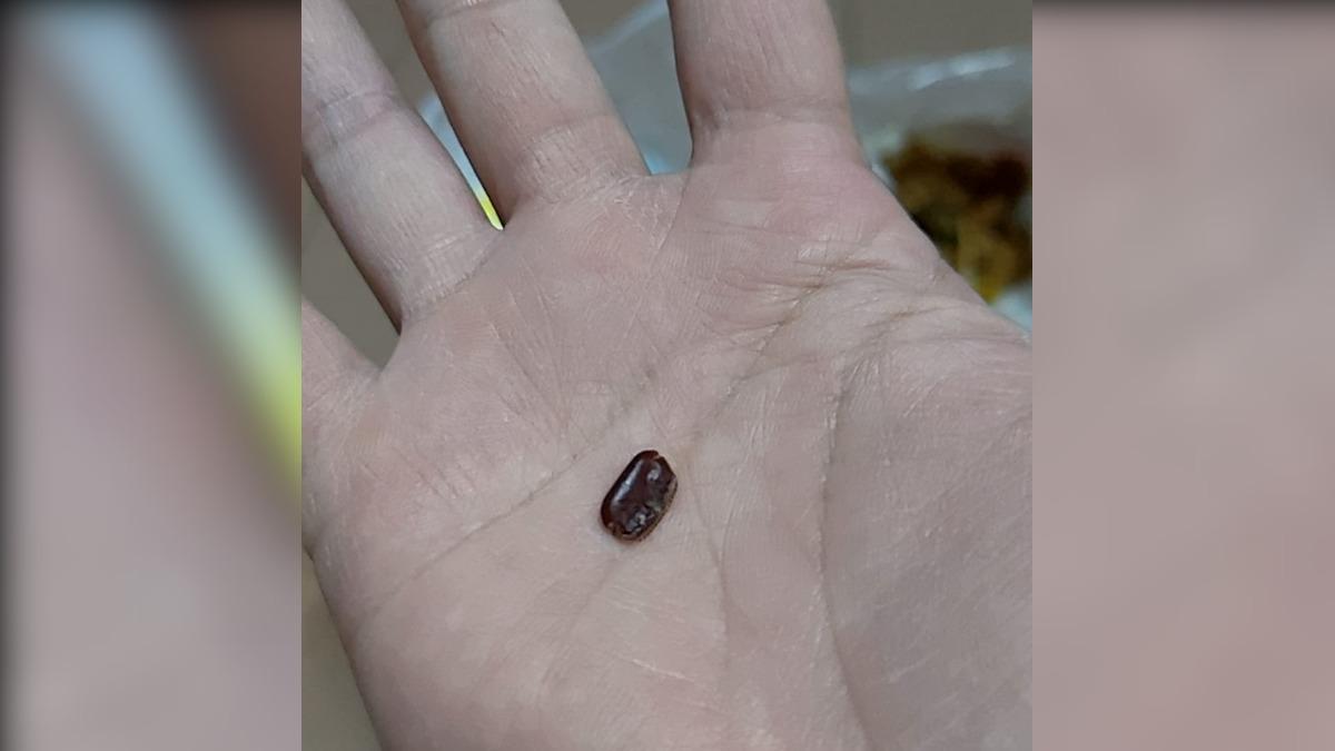 網友以為該不明物體是紅豆，沒想到竟是蟑螂蛋。（圖／翻攝自爆料公社）