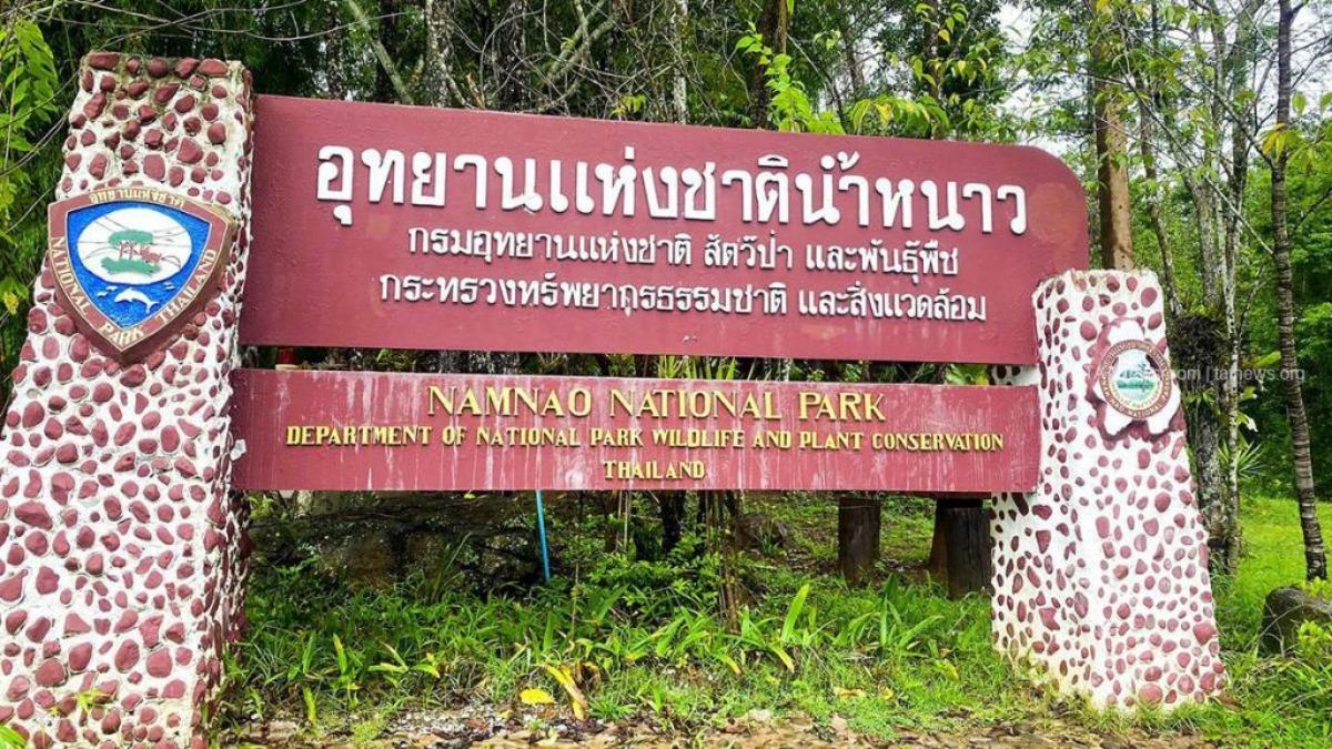 泰國的南瑙國家公園驚傳有大象踩死人的悲劇。（圖／翻攝自X@socialbook1）