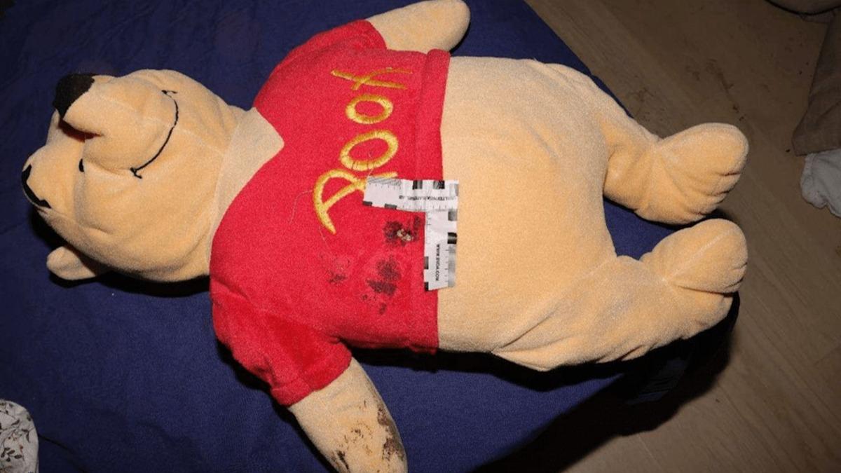 小熊維尼被槍殺「遺體照」，為2歲女童擋子彈。（圖／翻攝自bild.de）
