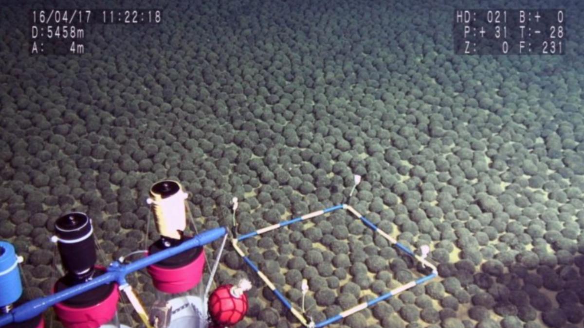 日本海域驚現大量稀少金屬「錳結核」。（圖／翻攝自高純度化學研究所官方部落格）