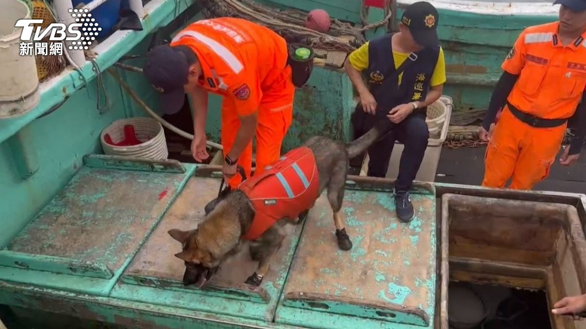 海巡署緝毒犬登船搜索。（圖／TVBS）