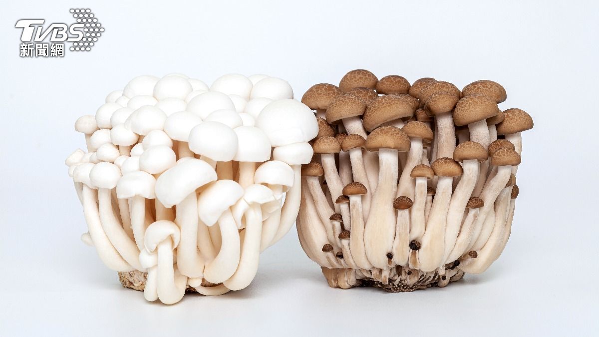 鴻喜菇是所有菇類硒含量最高的。（示意圖／shutterstock達志影像）