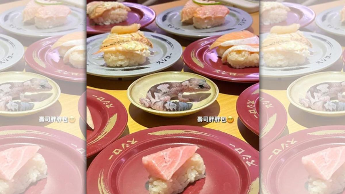 有學生前往壽司郎用餐，將自己的寵物蜥蜴放到碟子上。（圖／翻攝自Dcard）