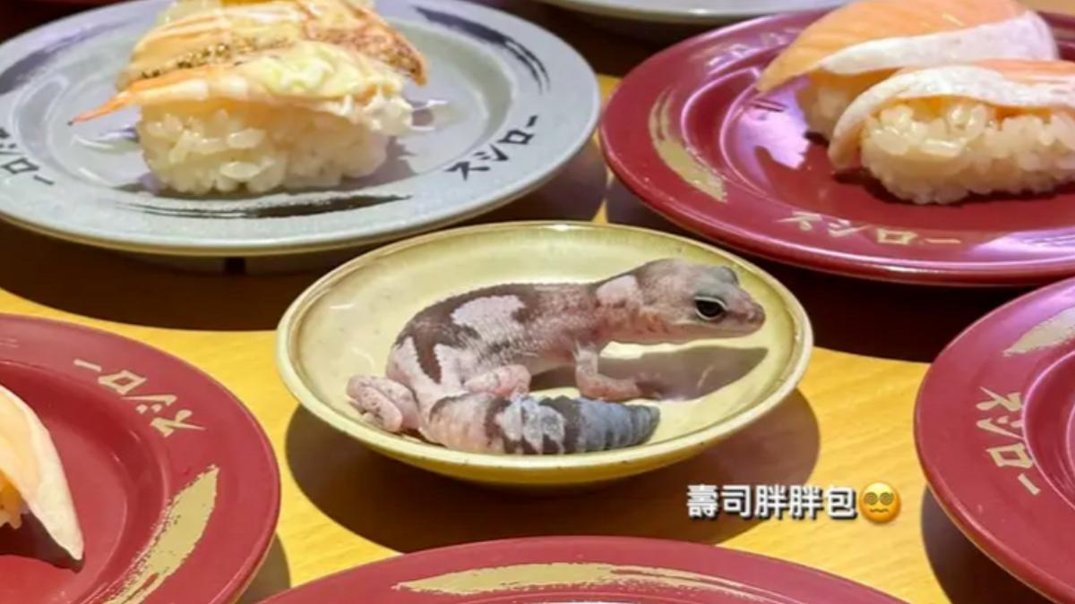 日前女大生至壽司郎用餐將寵物守宮放醬料碟上。（圖／翻攝自Dcard）