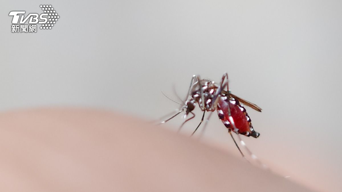 夏季蚊子大軍出動，不只到戶外被叮得滿腿腫包，就連在室內也躲不過。（示意圖／Shutterstock達志影像）
