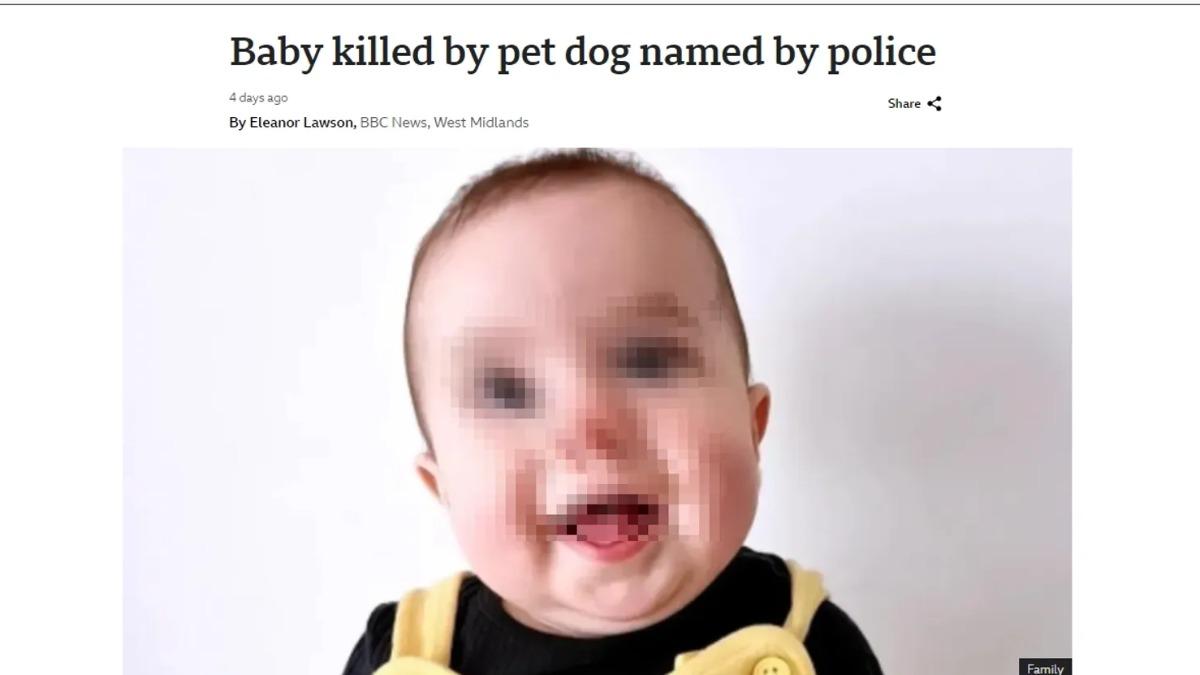 一名年僅7個月的嬰兒，不幸被家中寵物狗咬死。（圖／翻攝自BBC）