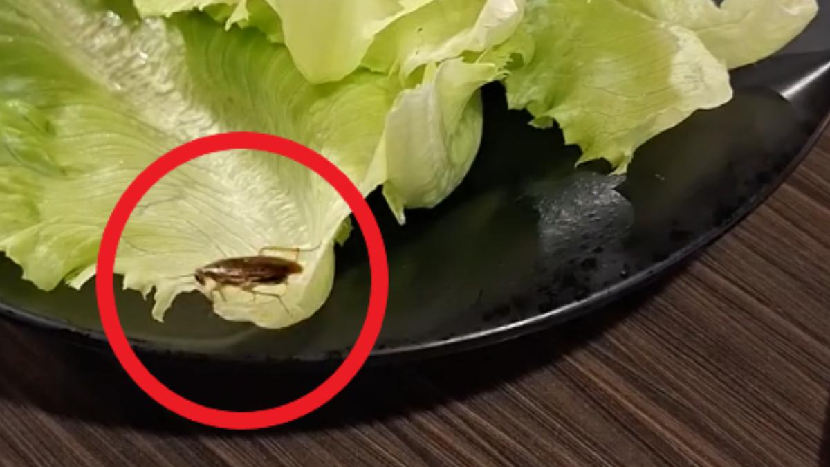 網友在烤肉店驚見蟑螂。（圖／翻攝自桃園大小事臉書）