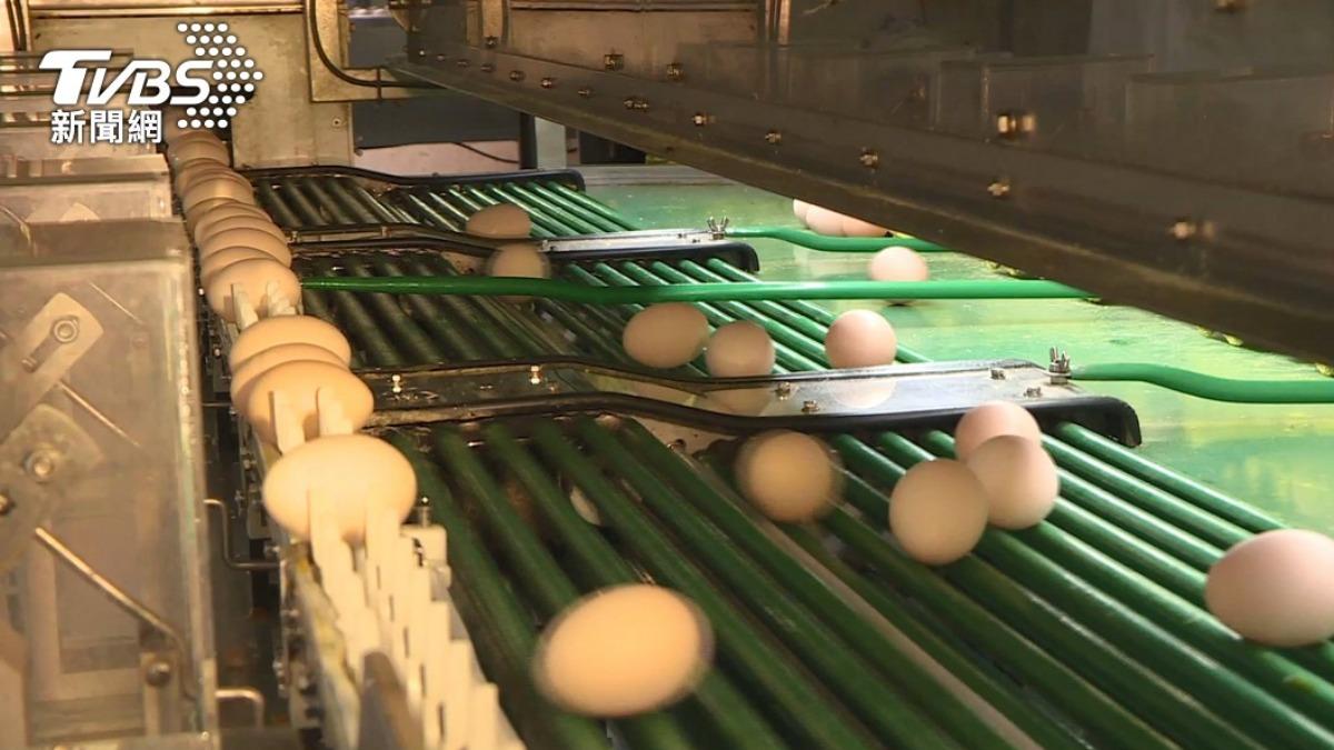  農業部認定中央畜產會採購進口蛋作業未依採購法，將追回50%補助款。（示意圖／TVBS）
