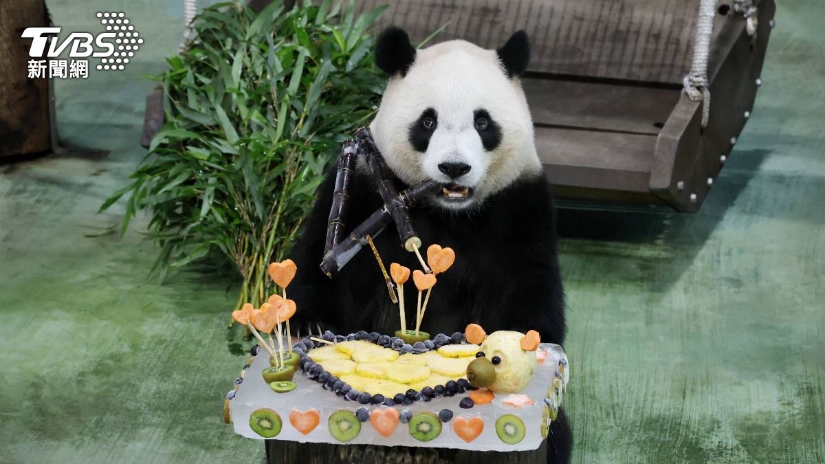 Taipei Zoo celebrates panda Yuan Bao’s 4th birthday (TVBS News) Taipei Zoo celebrates panda Yuan Bao’s 4th birthday