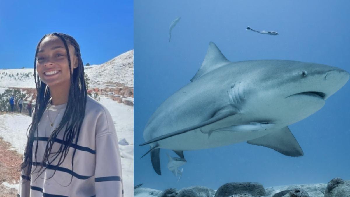 達米安娜（Damiana Humphrey）前往海邊度假時，慘遭鯊魚攻擊。（圖／翻攝自IG：Damiana Humphrey、示意圖／shutterstock達志影像）