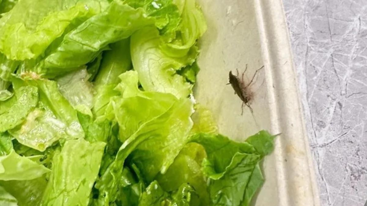 有名女網友爆料覺旅咖啡的沙拉有蟑螂爬出來。（圖／翻攝自Threads）