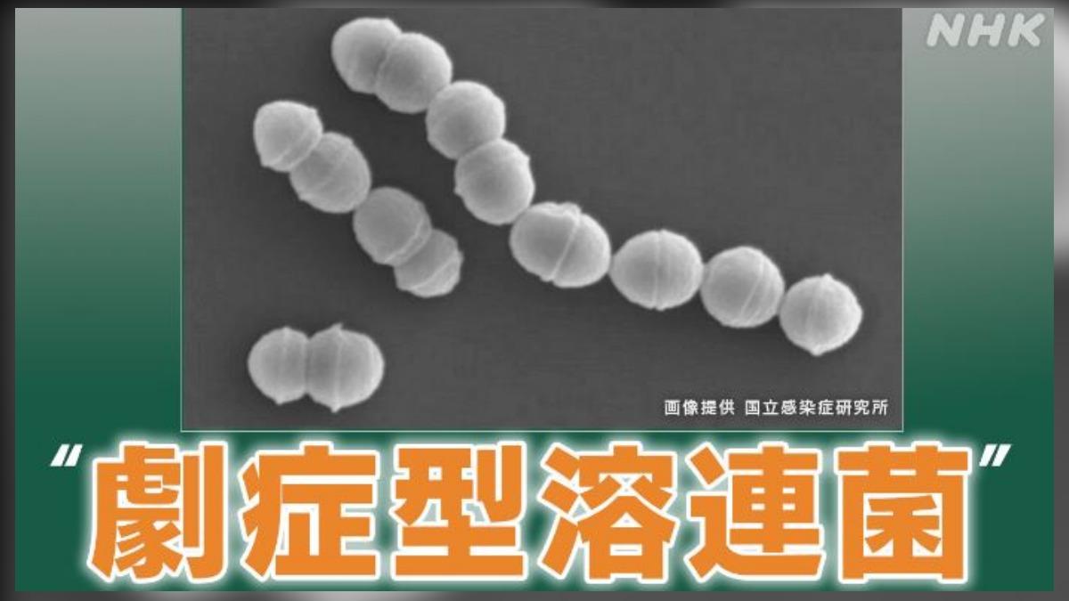 日本「食人菌」疫情快速蔓延（圖／擷取自NHK）