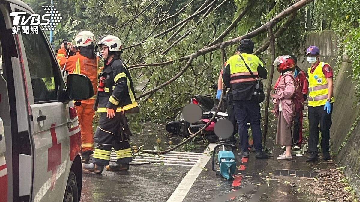 桃園山坡路樹倒塌，2騎士遭砸中送醫。（圖／TVBS）
