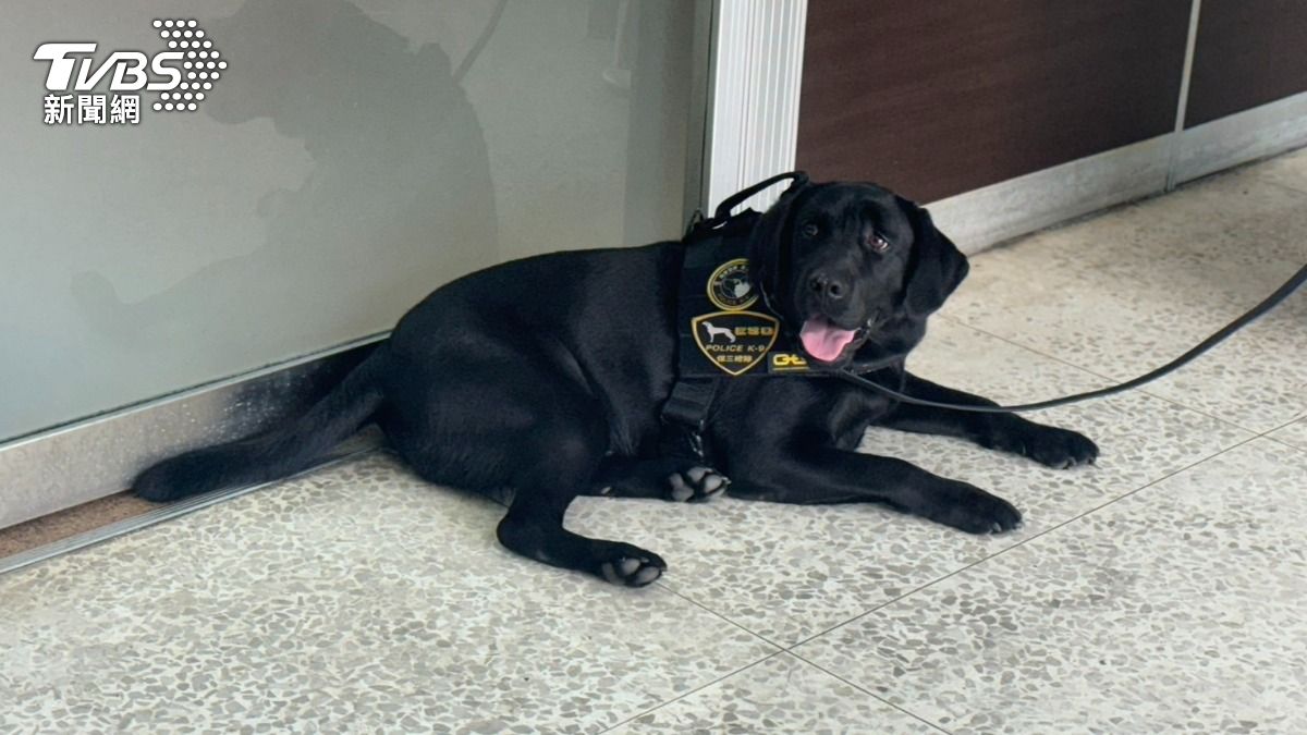 Taiwan’s first K9 ESD helps crack money laundering case (TVBS News) Taiwan’s first K9 ESD helps crack money laundering case