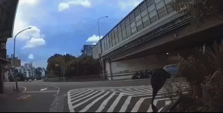 李男違規闖燈後被員警攔停，卻加速逃逸離開，最後自撞倒地被壓制。（圖／TVBS）