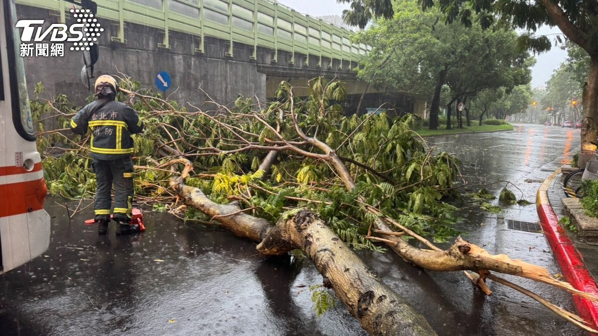 建國南路一段路樹倒塌，道路暫時封閉。（圖／TVBS）