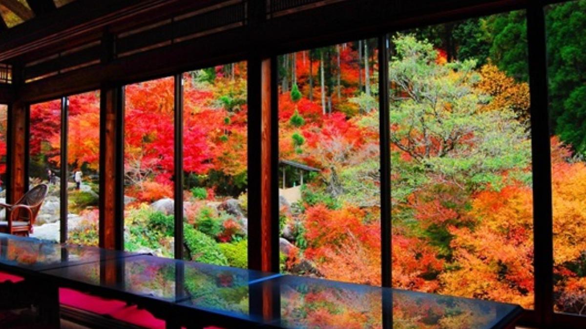 易飛旅遊優惠行程從熱門短線享現場下單「第二人最高折4000元」優惠。（圖／業者提供）