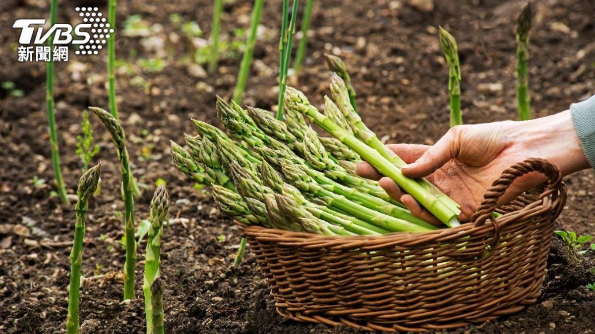 「蔬菜之王」蘆筍是消暑聖品。（示意圖／shutterstock 達志影像）