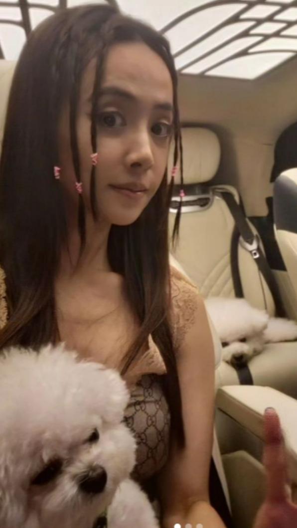 蔡依林養了兩隻狗。（圖／翻攝自蔡依IG）