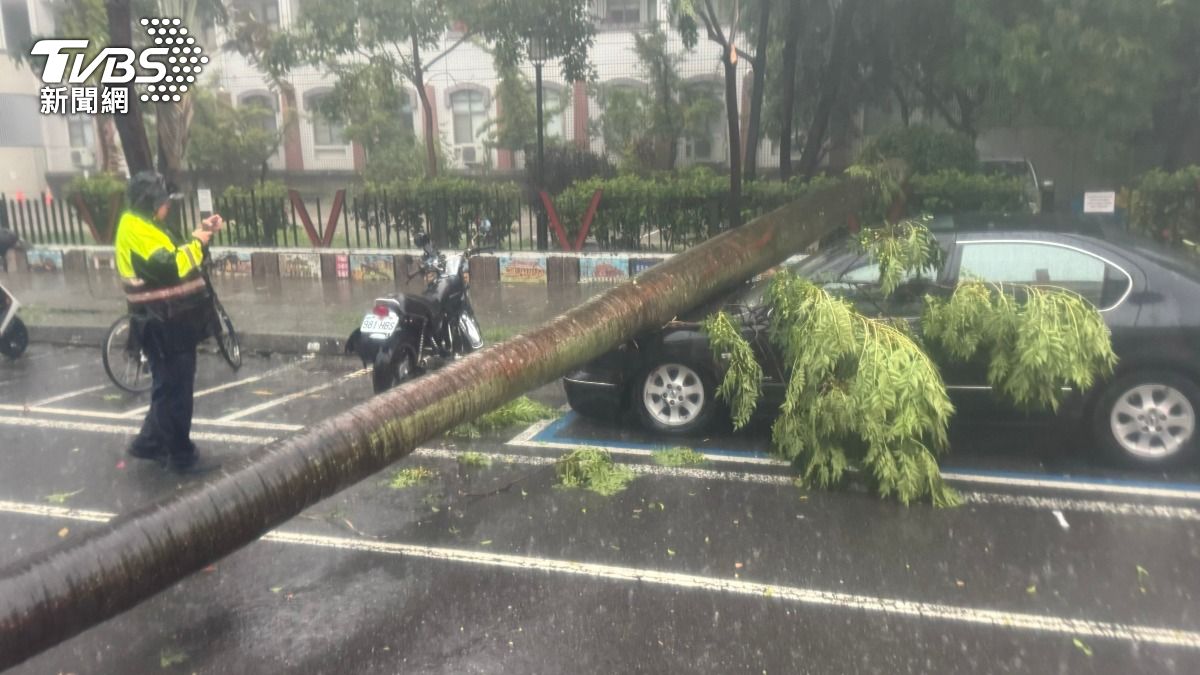 台南下午降下大雷雨，有民眾聽見巨響後發現路樹倒塌並砸毀一旁停放汽車。（圖／TVBS）