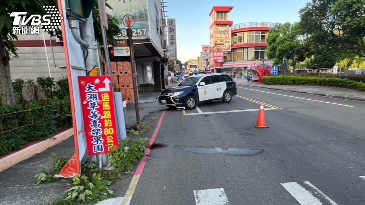 退休警半路輾到「死掉的流浪狗」，頭胸重創不治。（圖／TVBS）