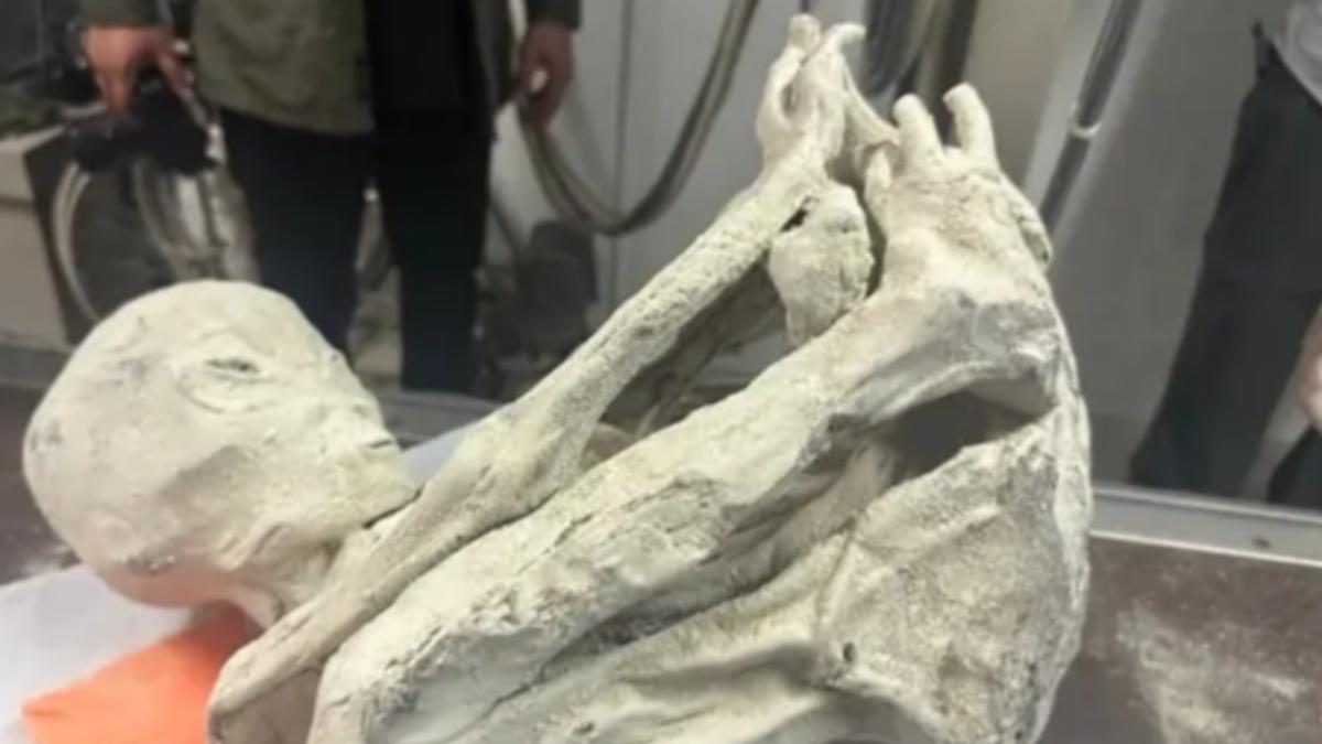 三指外星木乃伊在秘魯被發現。(圖/翻攝自每日郵報)