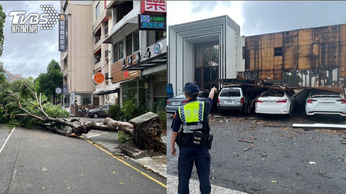 強風導致台中各地路樹、木牆被吹垮。（圖／TVBS）