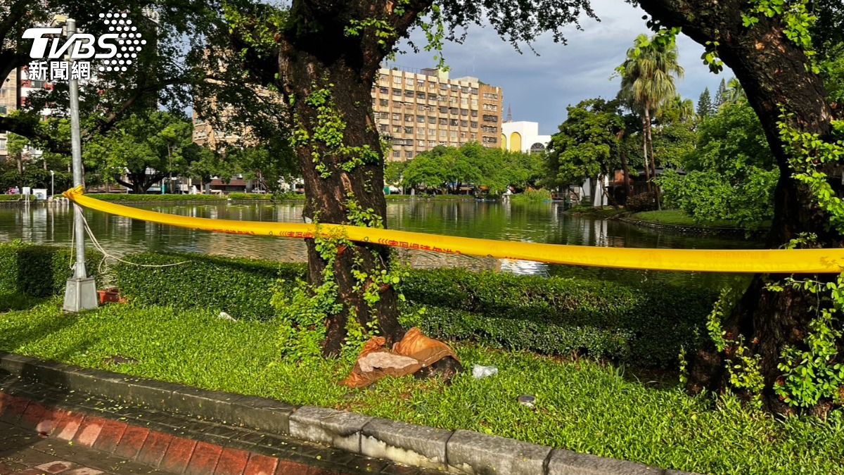 台中公園日月湖昨（27）日凌晨發生一起落水驚魂。（圖／TVBS）