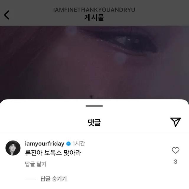 姜正勳留言「留真啊，去打肉毒桿菌吧」後被罵到刪掉。（圖／翻攝自申留真IG）