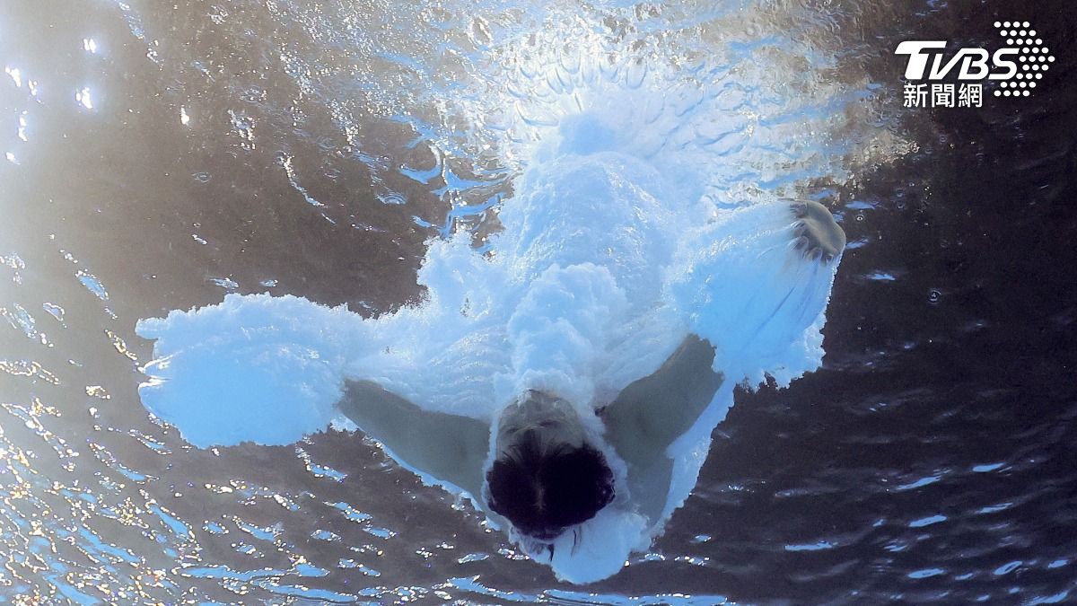 全紅嬋有「天才跳水少女」美稱。（圖／達志影像路透社）