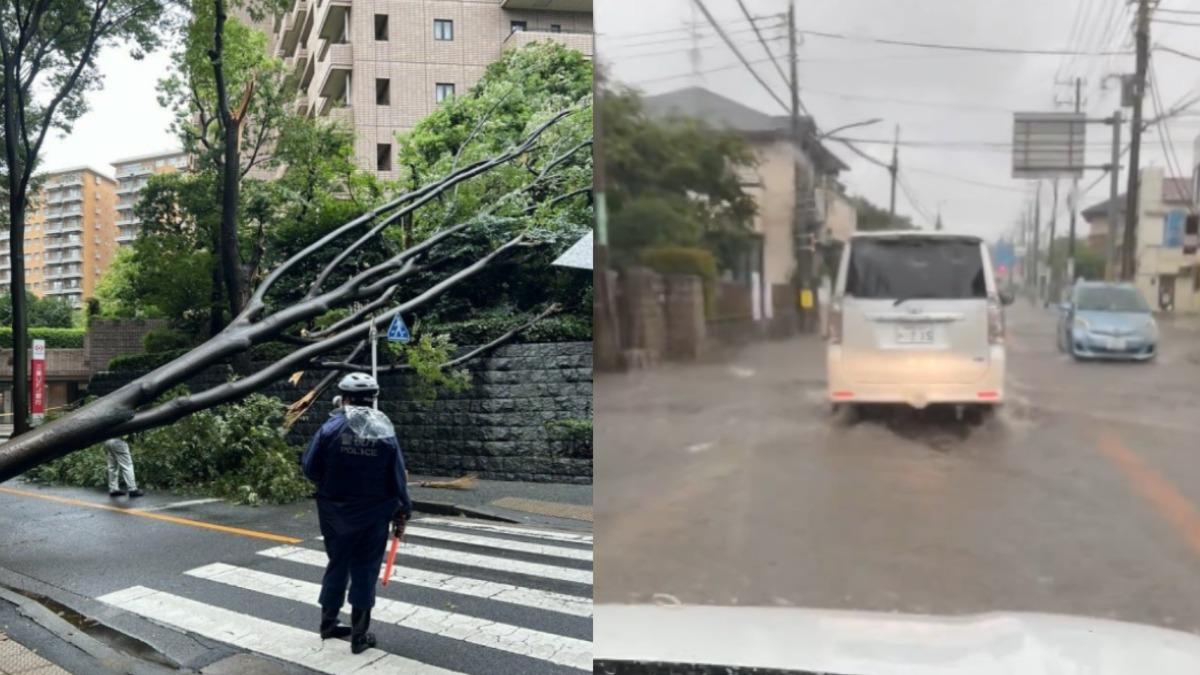 安比颱風襲日，導致樹木倒塌、道路淹水。（圖／翻攝自X@endmax7、Gt8VUlzRG7buafO）