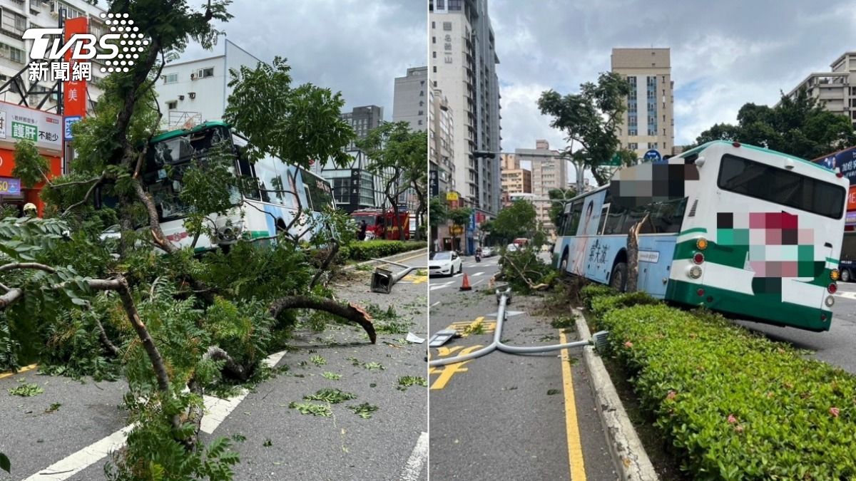 公車衝上分隔島撞斷路樹、燈桿。（圖／TVBS）