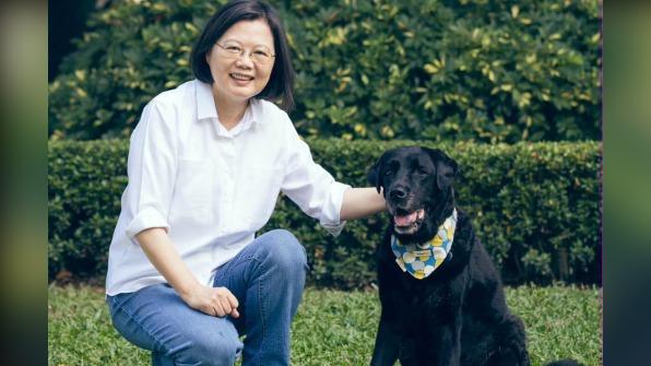 Tsai Ing-wen mourns the loss of her dog Maru (Courtesy of sai Tsai Ing-wen’s Facebook) Ex-President Tsai Ing-wen mourns the loss of her dog Maru