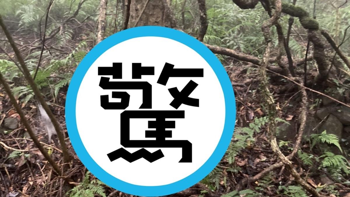 陽明山二子坪步道附近出現「仙氣怪鳥」引發關注。（圖／翻攝自陽明山國家公園 臉書粉專）