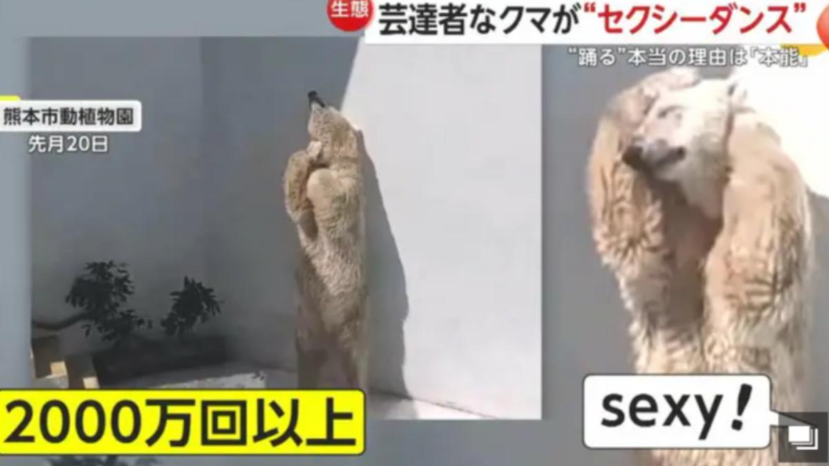 MARURU「性感熱舞」的影片觀看數破2千萬。（圖／翻攝自富士新聞網）